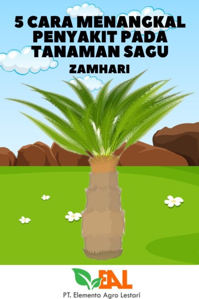 5 Cara Menangkal Penyakit pada Tanaman Sagu